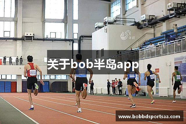 关于bob半岛app